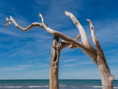 Fischland-Darss-Zingst